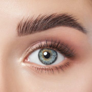 Lashes and Brows